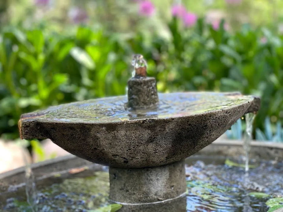 Local yard maintenance in East Troy, WI - Your Personal Gardener and Arborist