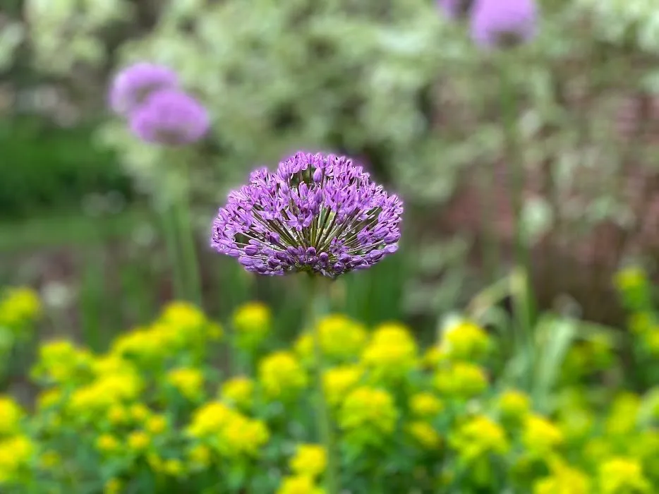 Custom outdoor landscaping in East Troy, WI - Your Personal Gardener and Arborist