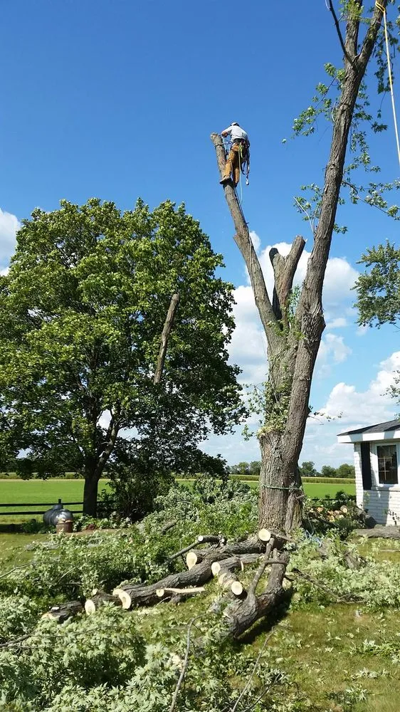 Reliable landscape design in East Troy, WI - Your Personal Gardener and Arborist