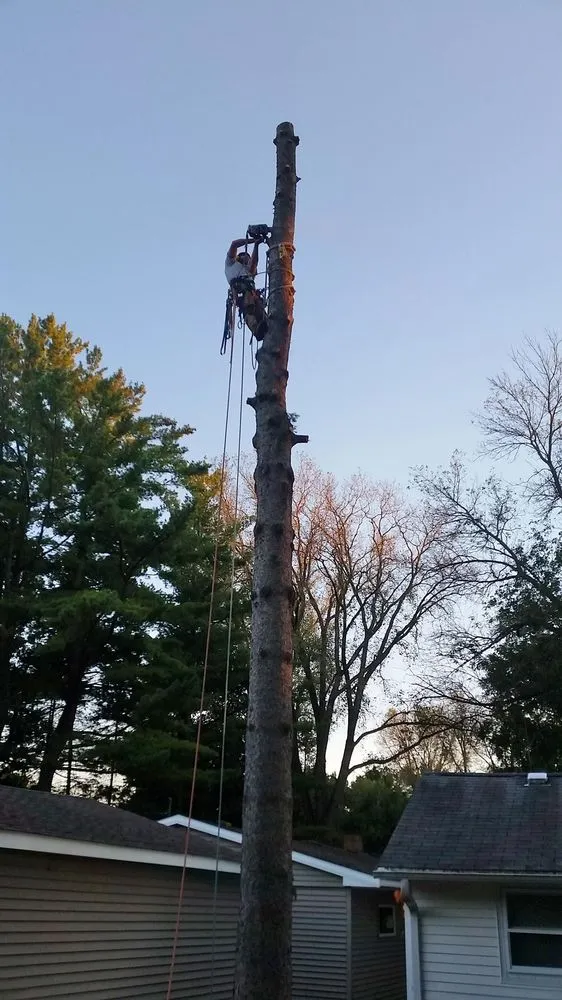 Trusted landscape design for beautiful yards in East Troy, WI by Your Personal Gardener and Arborist