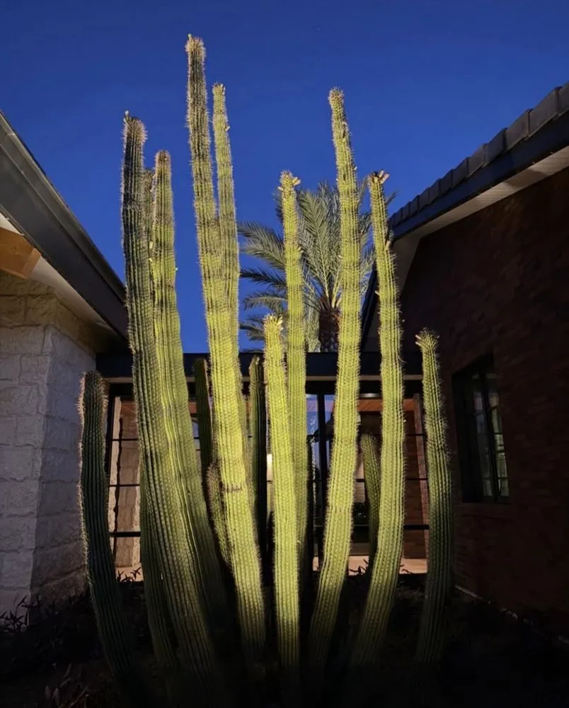 Local landscape design near you in Phoenix, AZ by Your Personal Gardener