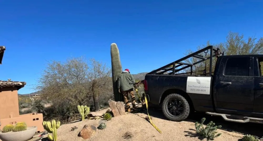 Top-rated outdoor landscaping experts serving Phoenix, AZ - Your Personal Gardener