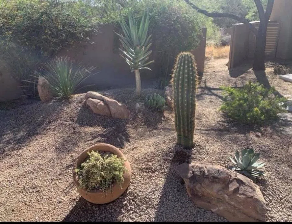 Top-rated lawn mowing service near you in Phoenix, AZ by Your Personal Gardener