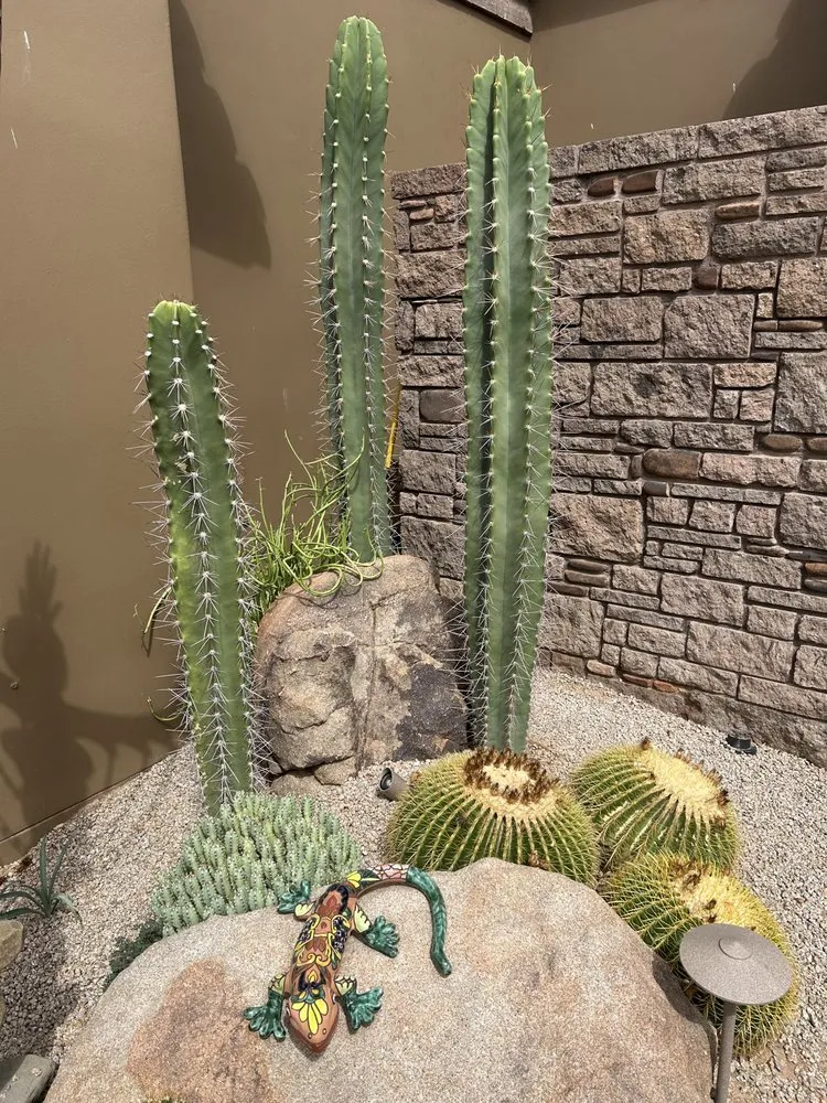 Expert garden landscaping with custom design across Phoenix, AZ - Your Personal Gardener