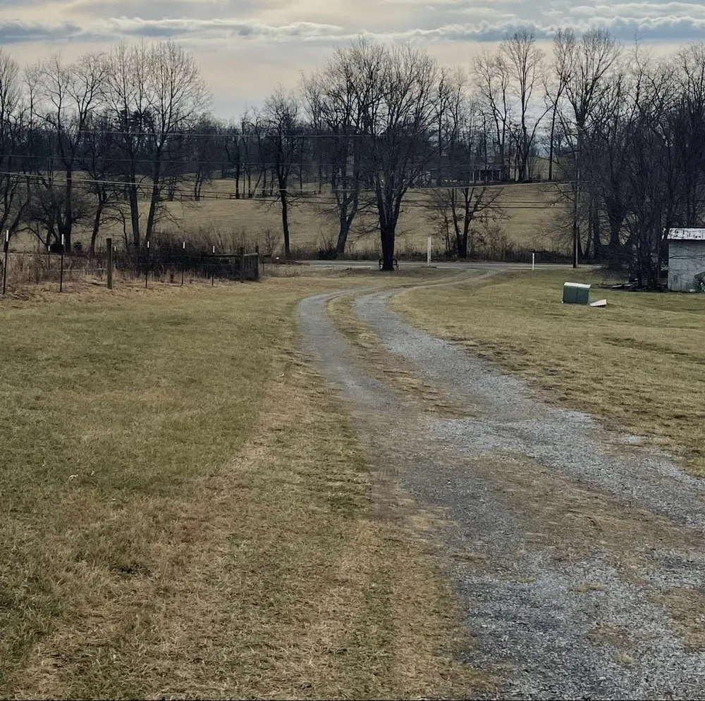 Affordable yard maintenance experts serving Bradenton, FL - Your Personal Task Masters