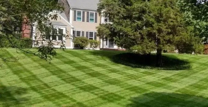 Professional landscaping services in Marlboro, NJ by Your Price Lawn