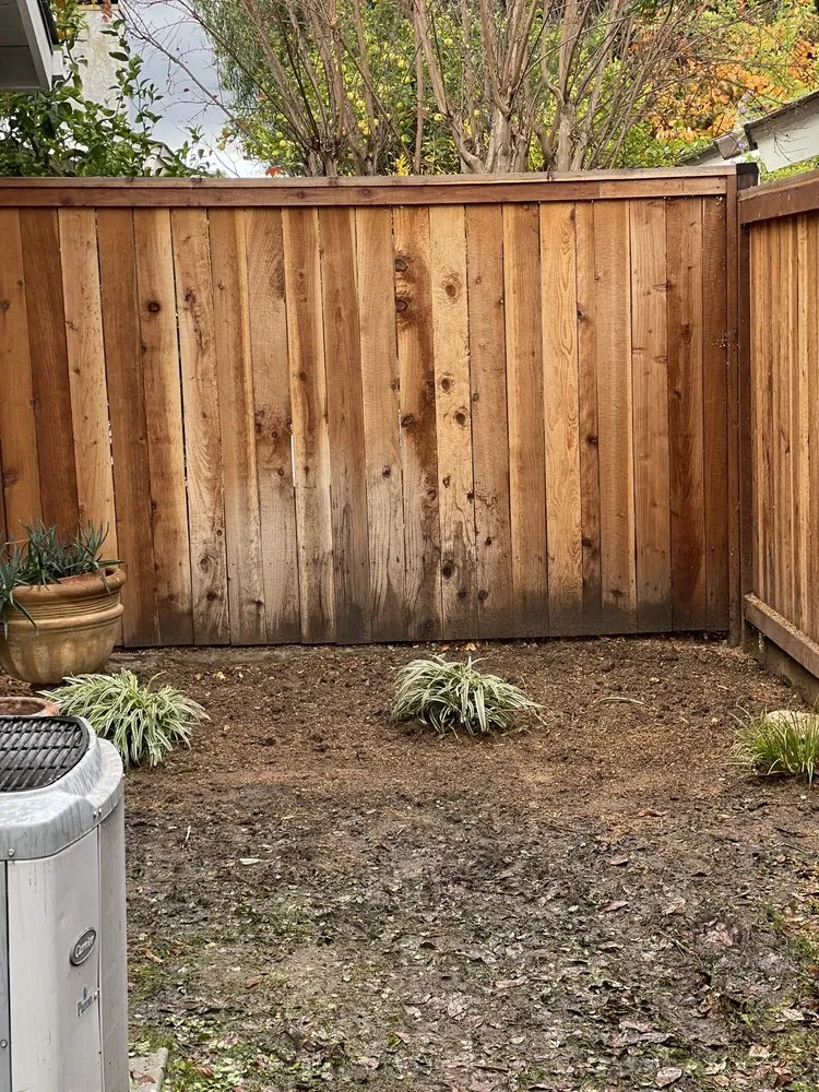 Trusted landscape installation in Chino Hills, CA - Your Price Tree Services