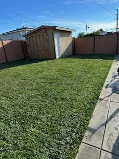 Reliable landscape design for beautiful yards across Chino Hills, CA - Your Price Tree Services