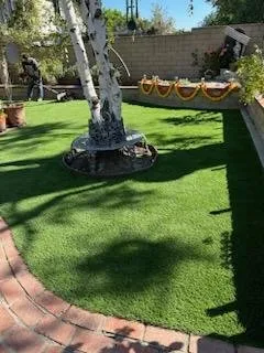 Reliable lawn mowing service experts serving Chino Hills, CA - Your Price Tree Services