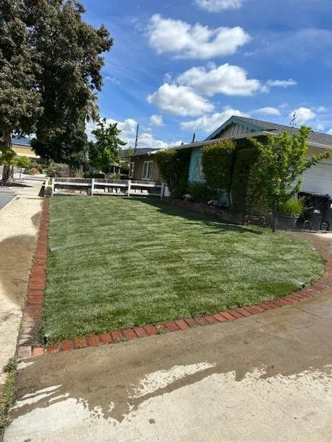 Reliable landscape design in Chino Hills, CA by Your Price Tree Services