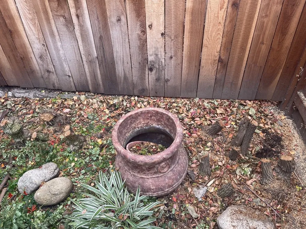 Custom garden landscaping in Chino Hills, CA by Your Price Tree Services