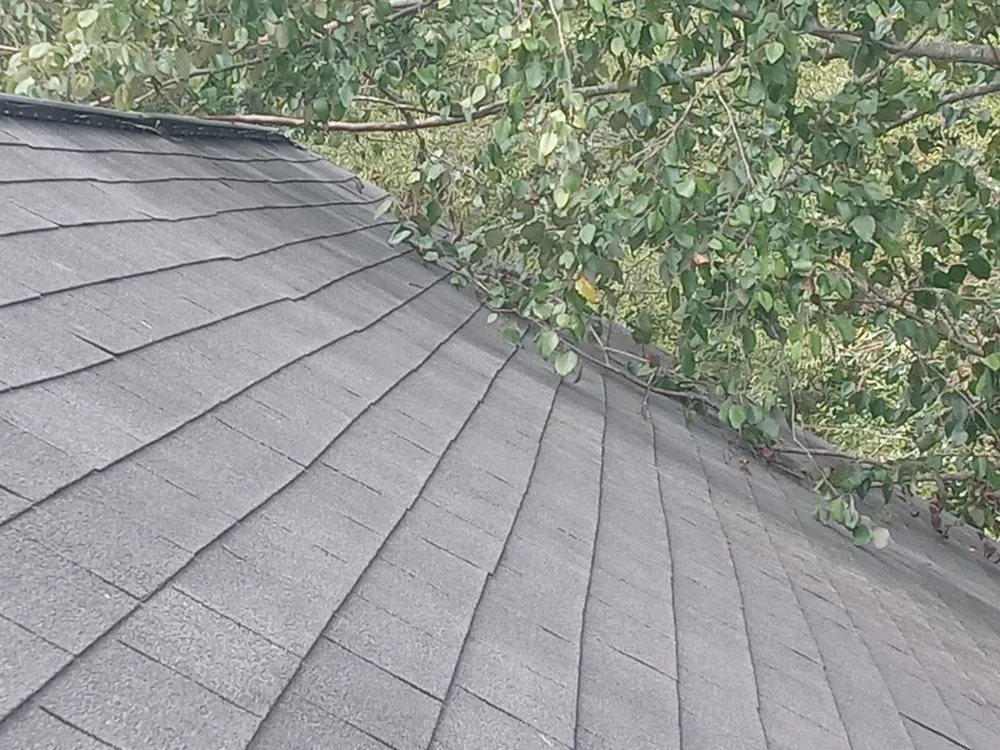 Local yard maintenance for outdoor upgrades across North Charleston, SC - Your Problem Our Solution