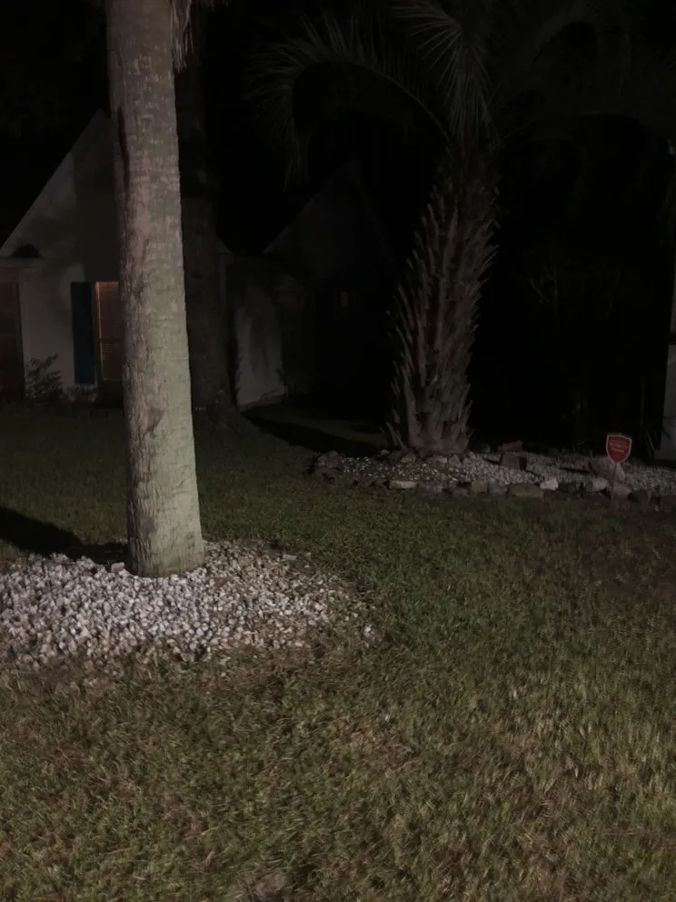 Local yard cleanup service with custom design across North Charleston, SC - Your Problem Our Solution