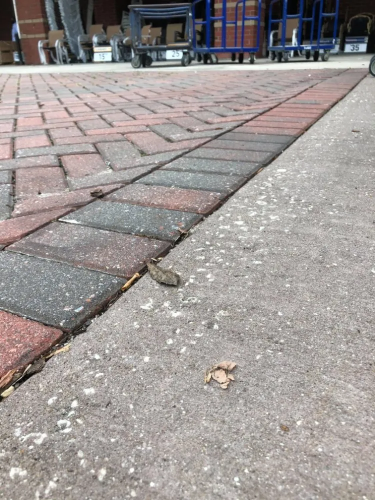 Custom yard cleanup service for outdoor upgrades in Summerville, SC by Your Problem Our Solution