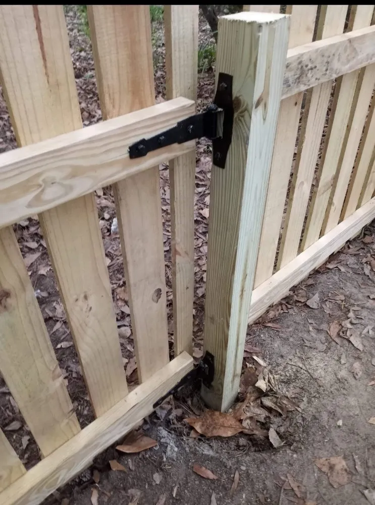 Expert landscaping services for homes in Summerville, SC by Your Problem Our Solution