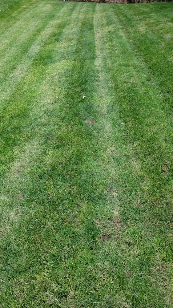 Custom lawn care service experts serving Clarkston, MI - Your Realm Property Management