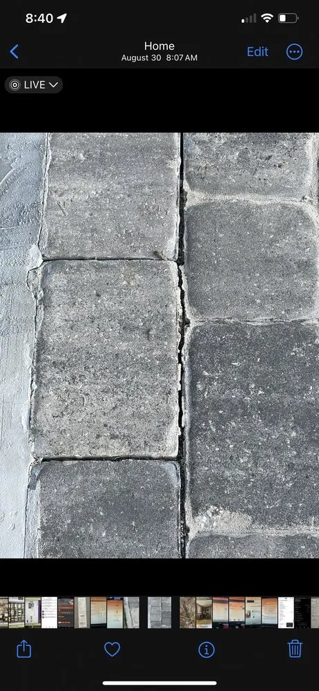 Trusted lawn care service for residential properties across Port Saint Lucie, FL - Your Tree Experts Of Florida