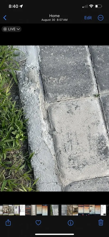 Top-rated residential landscaping experts serving Port Saint Lucie, FL - Your Tree Experts Of Florida