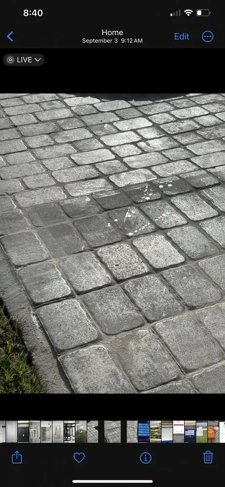 Reliable lawn care service for outdoor upgrades across Port Saint Lucie, FL - Your Tree Experts Of Florida