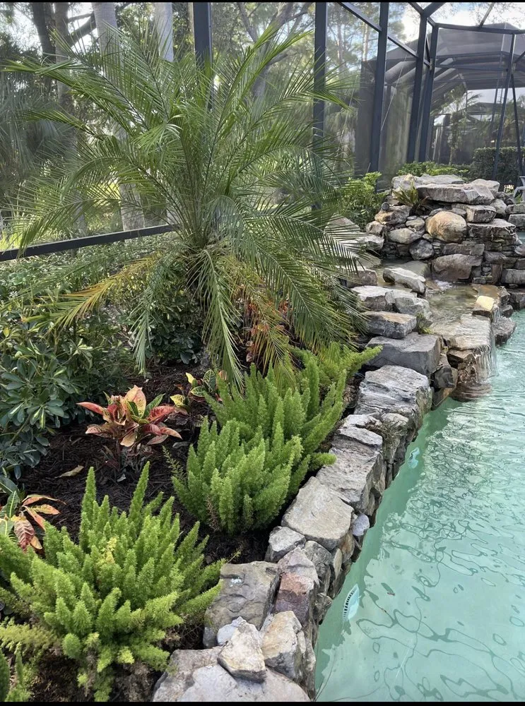 Reliable lawn care service in Port Saint Lucie, FL by Your Tree Experts Of Florida