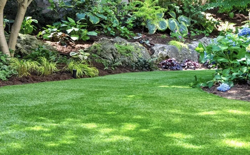 Local landscape design experts serving Kenosha, WI - Your Turf Doctor