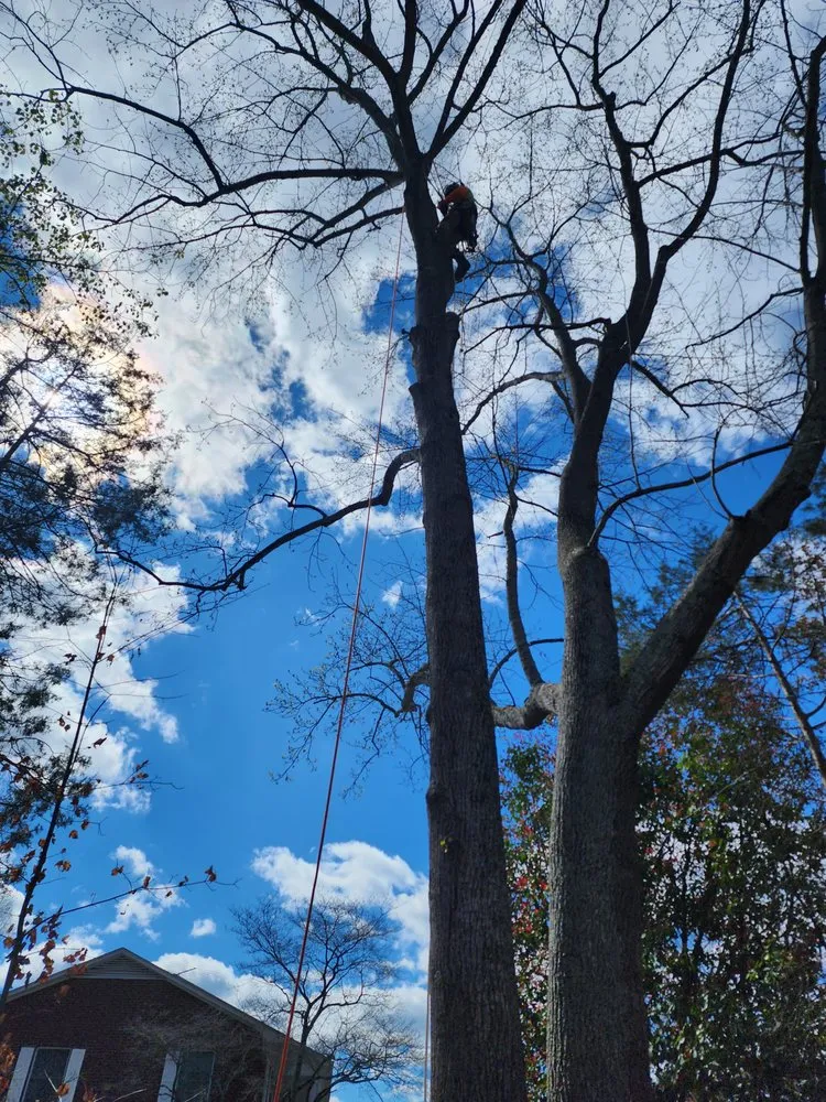 Trusted lawn care service in Greensboro, NC - Your Way Lawn & Tree Service