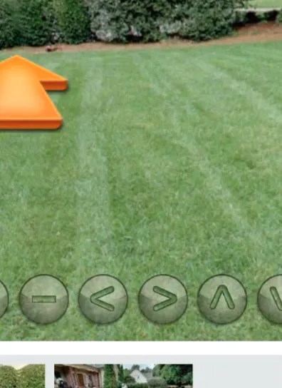 Expert landscape design near you in Greensboro, NC by Your Way Lawn & Tree Service