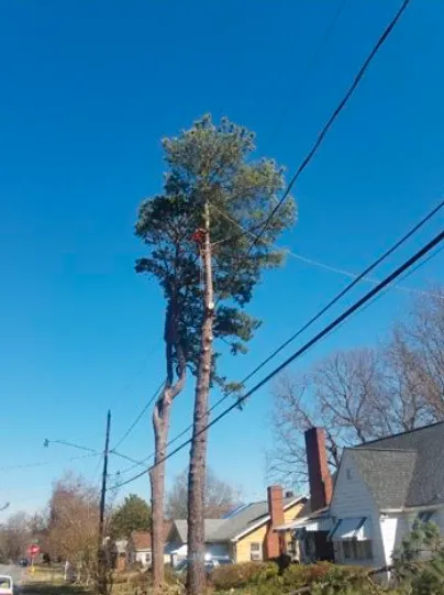 Affordable landscape design experts serving Greensboro, NC - Your Way Lawn & Tree Service