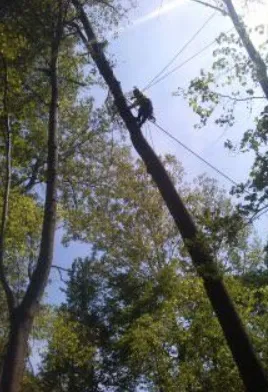 Local residential landscaping in Greensboro, NC - Your Way Lawn & Tree Service