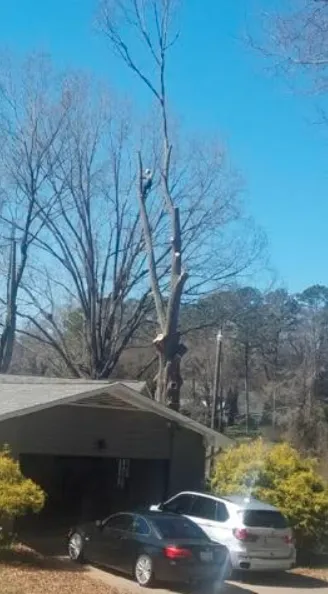 Expert garden landscaping in Greensboro, NC - Your Way Lawn & Tree Service