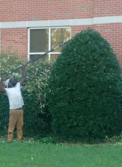 Trusted residential landscaping experts serving Greensboro, NC - Your Way Lawn & Tree Service