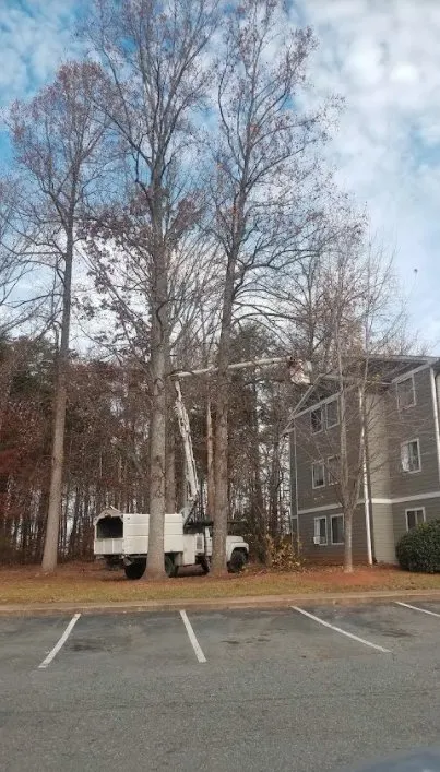 Professional outdoor landscaping in Greensboro, NC - Your Way Lawn & Tree Service