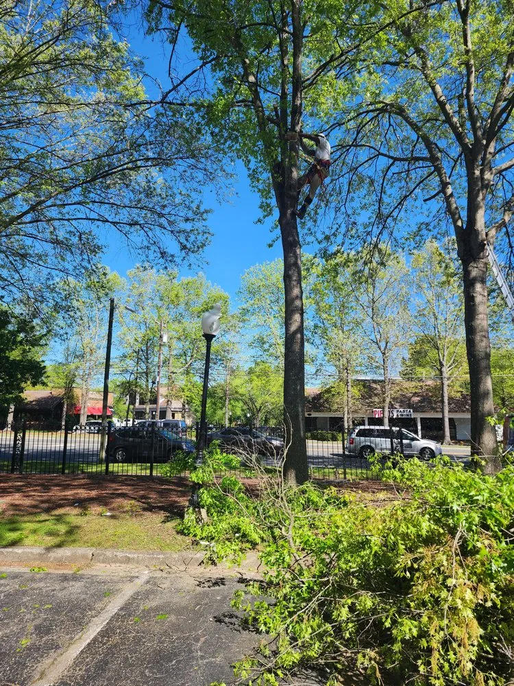 Custom landscape installation in Greensboro, NC - Your Way Lawn & Tree Service