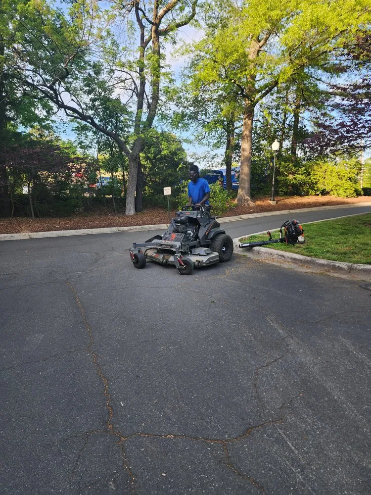 Professional landscape design for beautiful yards in Greensboro, NC by Your Way Lawn & Tree Service