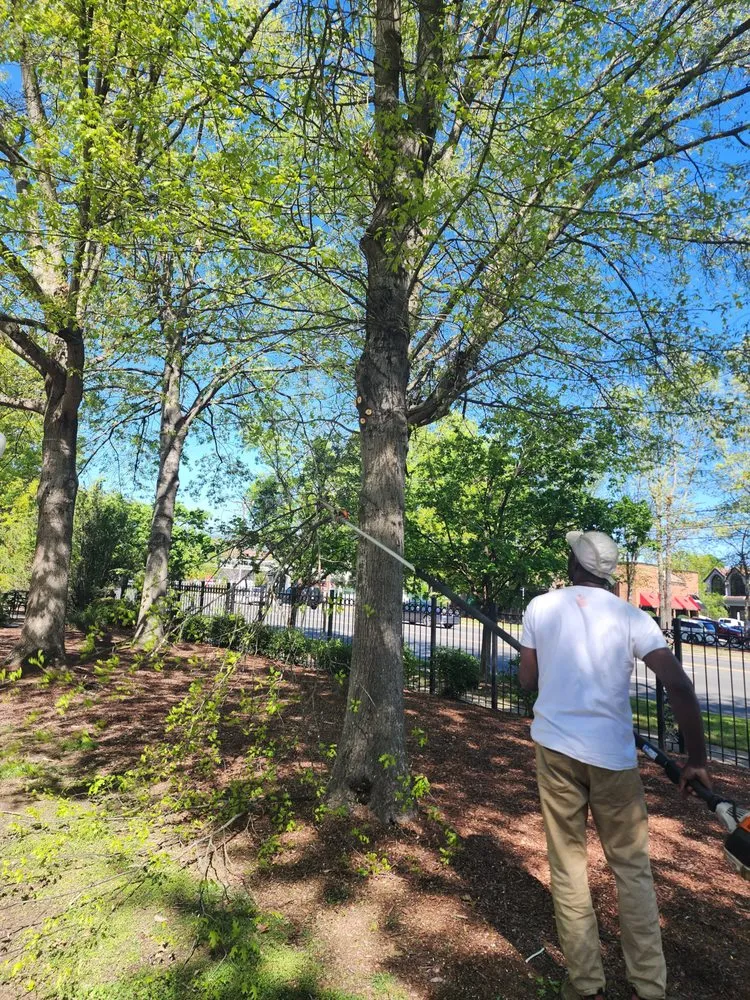 Local outdoor landscaping in Greensboro, NC by Your Way Lawn & Tree Service