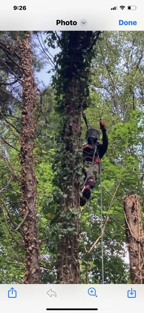 Affordable yard cleanup service with custom design across Greensboro, NC - Your Way Lawn & Tree Service