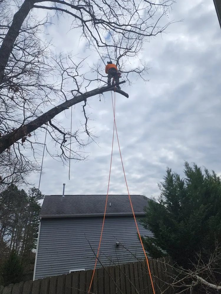 Top-rated yard maintenance experts serving Greensboro, NC - Your Way Lawn & Tree Service