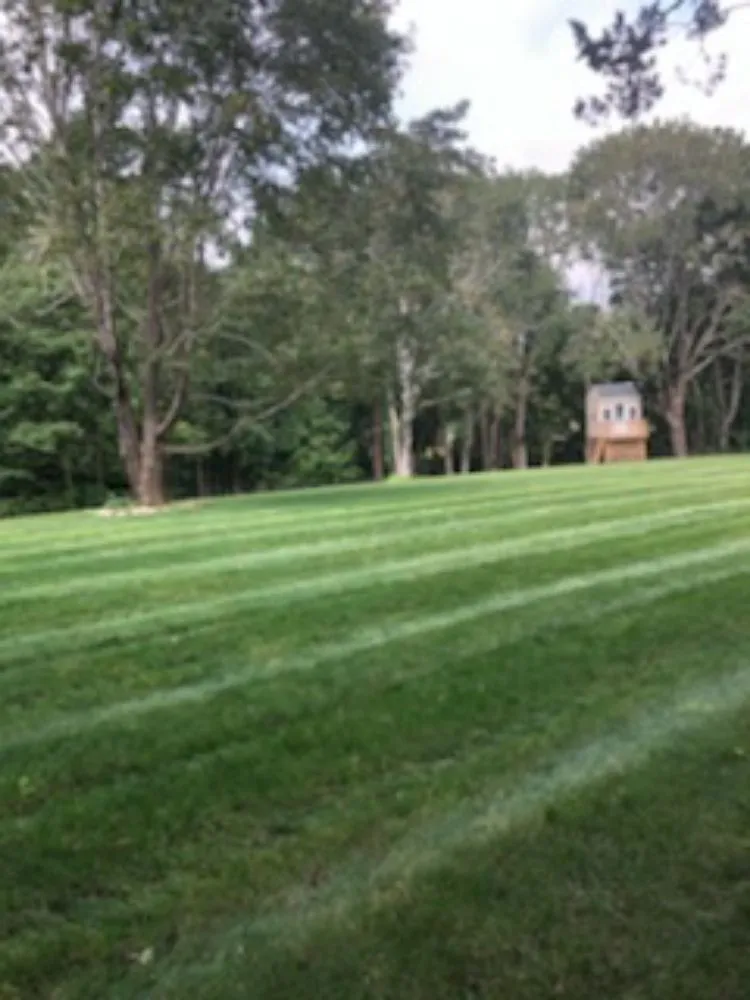 Affordable yard cleanup service experts serving Rochester, MA - Your Way Lawn Care and Home Maintenance