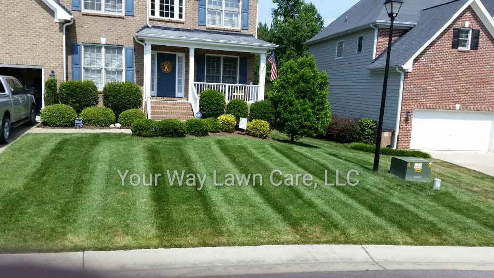 Trusted lawn mowing service in Raleigh, NC by Your Way Lawn Care