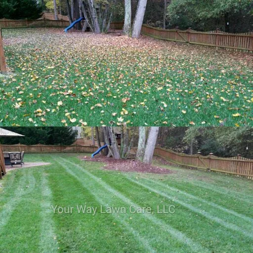 Professional landscape design experts serving Raleigh, NC - Your Way Lawn Care