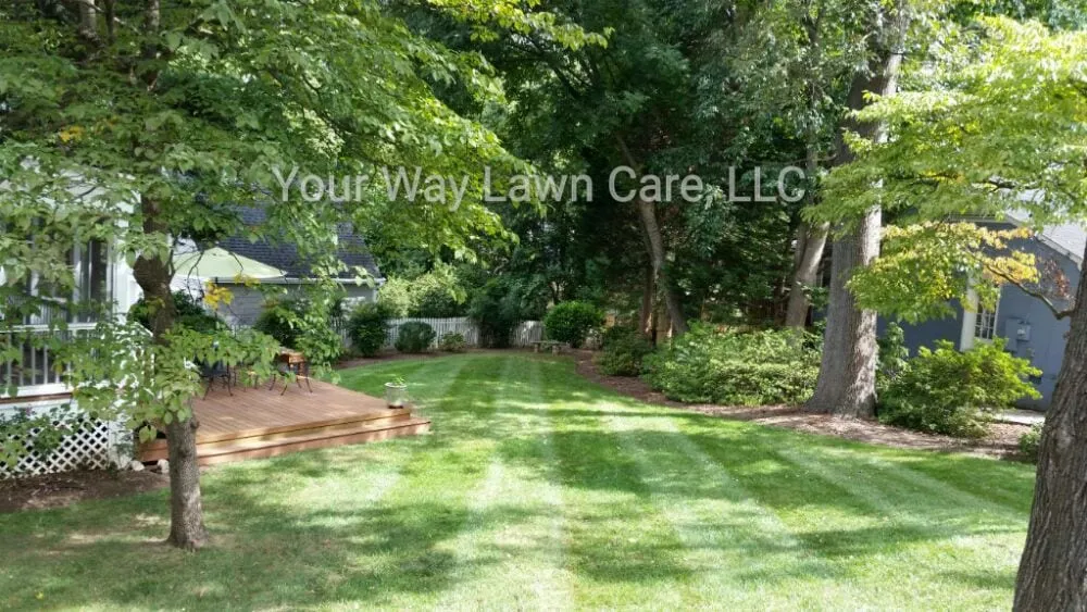 Top-rated landscape design in Raleigh, NC by Your Way Lawn Care