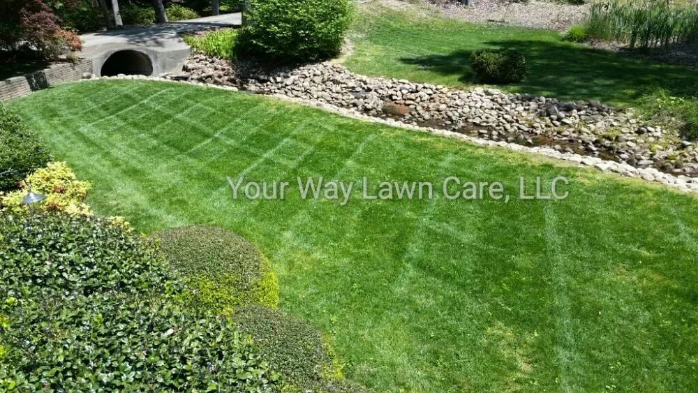 Professional outdoor landscaping in Raleigh, NC - Your Way Lawn Care