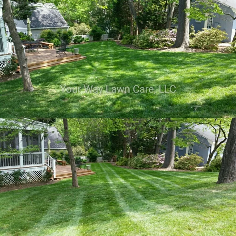 Top-rated residential landscaping near you in Raleigh, NC by Your Way Lawn Care