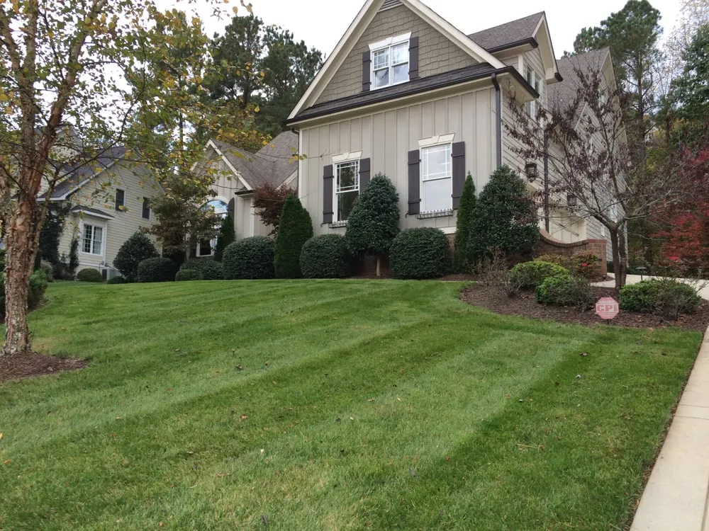 Expert lawn care service for residential properties across Raleigh, NC - Your Way Lawn Care
