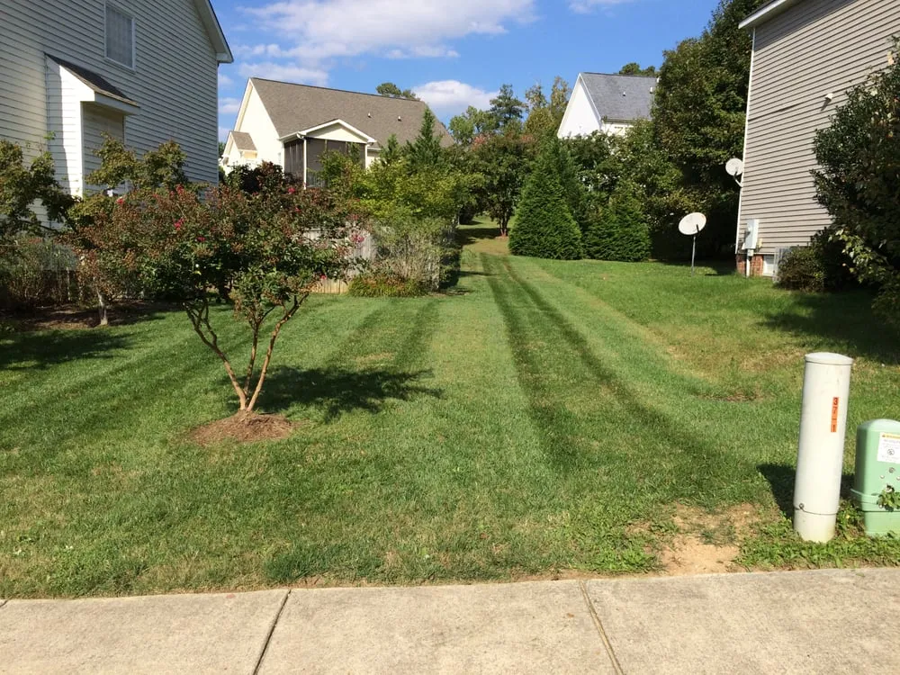 Reliable landscaping services for year-round maintenance across Raleigh, NC - Your Way Lawn Care