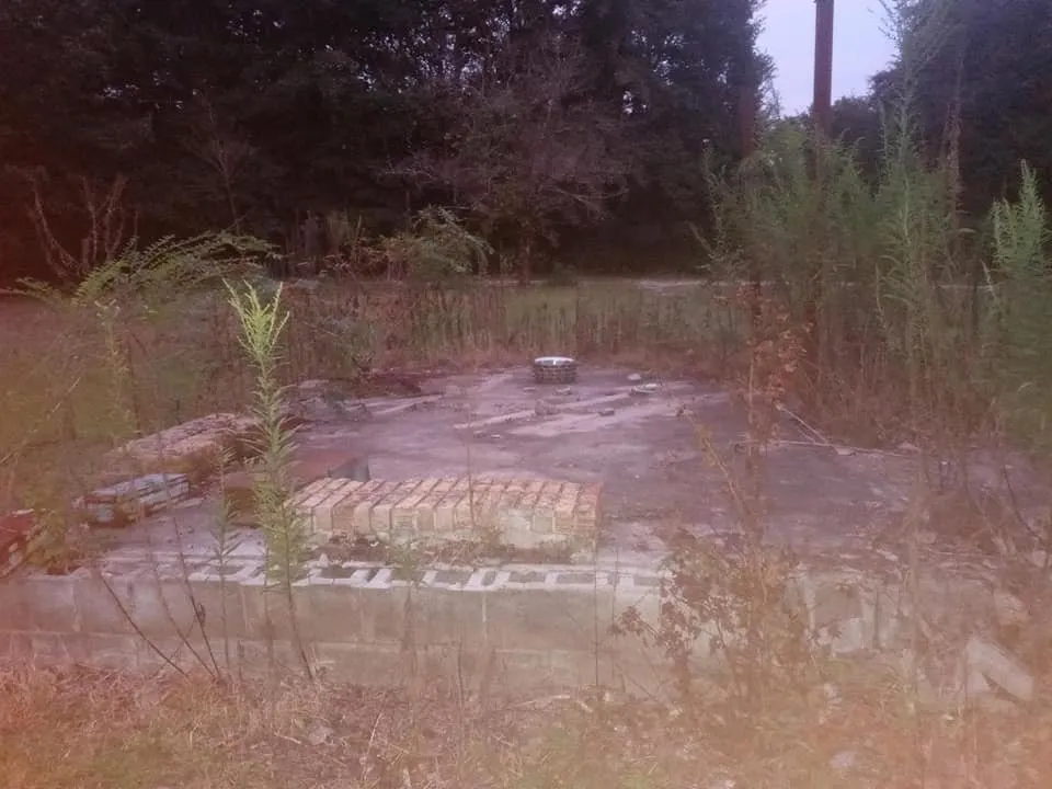 Trusted yard cleanup service in Vinemont, AL by Your Way Lawn Care