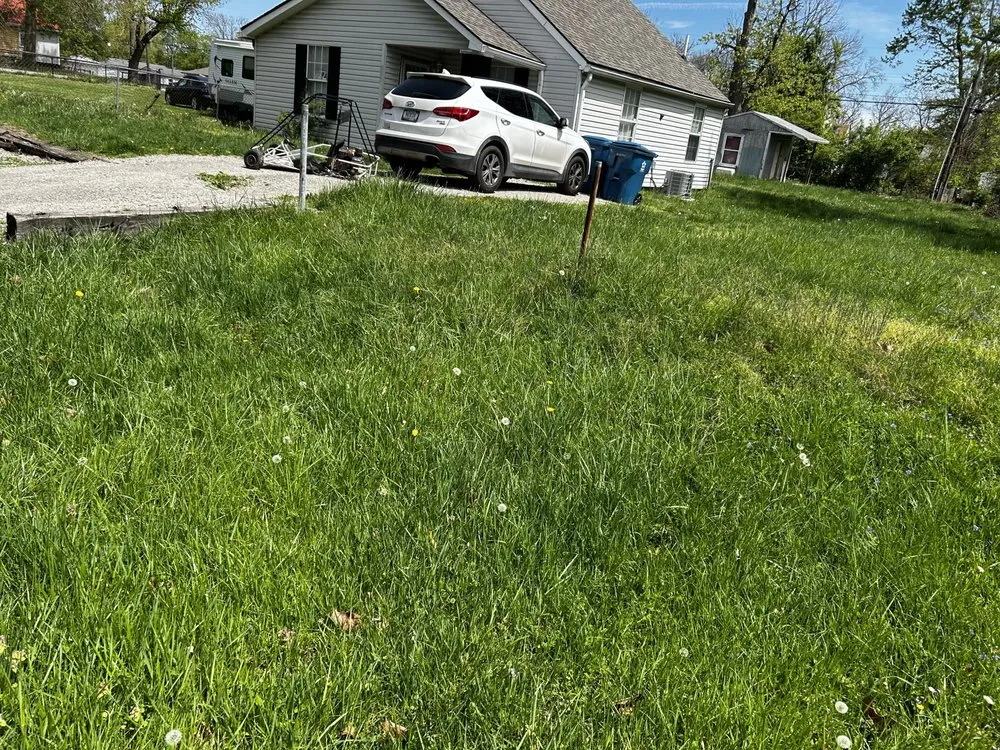 Expert lawn mowing service for homes in Indianapolis, IN by Your Wish Lawn Care