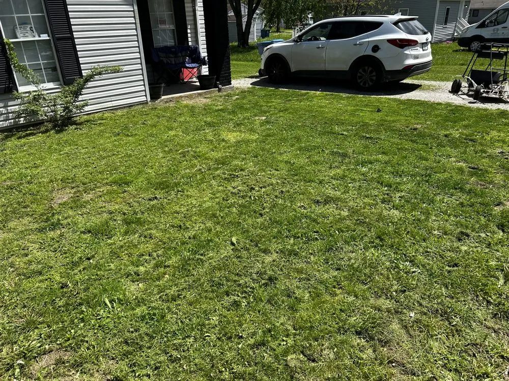 Trusted lawn care service in Indianapolis, IN - Your Wish Lawn Care