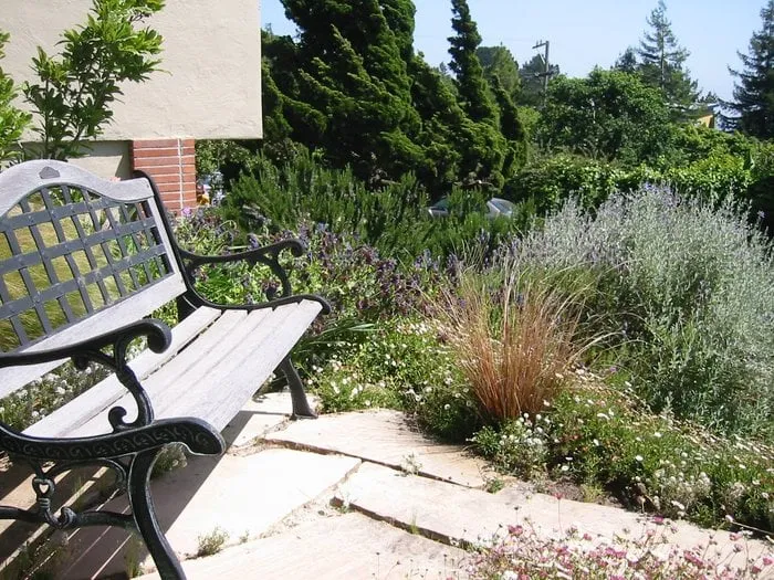 Affordable lawn care service for outdoor upgrades across Emeryville, CA - Your World In Bloom