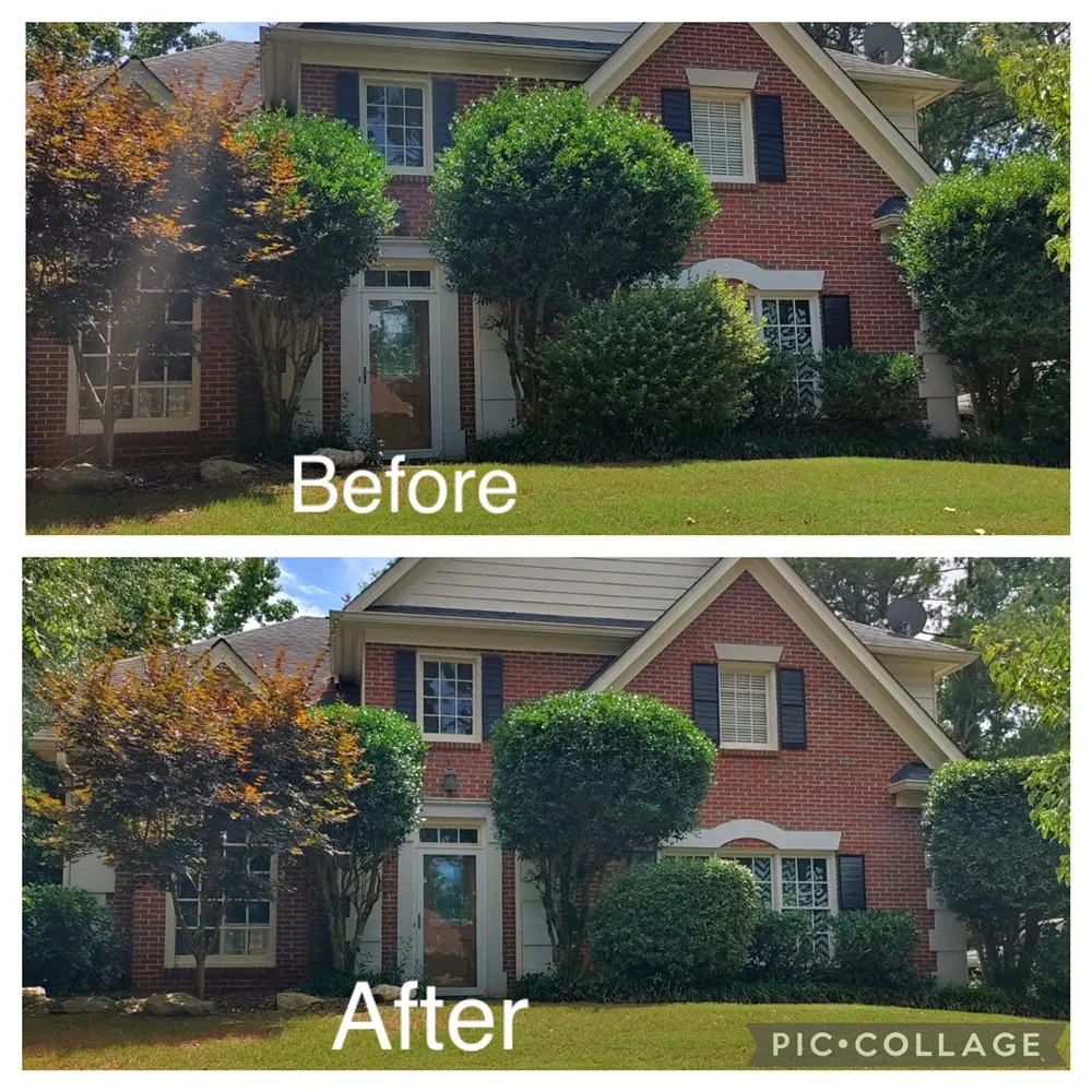 Affordable yard cleanup service for homes across Dallas, GA - Your Yard Guy